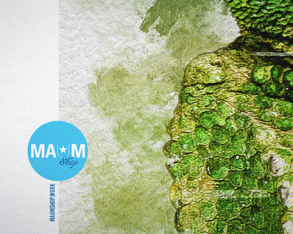 Chameleon Animal Painting Print Framed Art Home Wall Decor Gifts