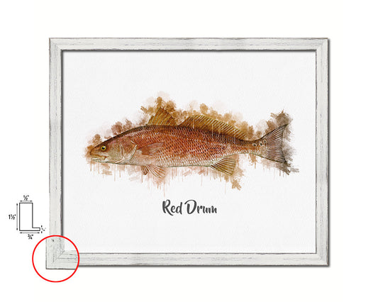 Red Drum Fish Framed Prints Modern Restaurant Sushi Bar Watercolor Wall Art Decor