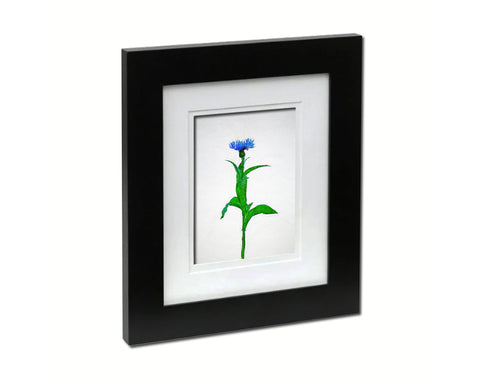 Cornflower Sketch Plants Art Wood Framed Print Wall Decor Gifts