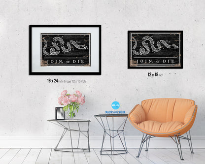 US Join or Die Snake Colonial Revolutionary War Shabby Chic Military Flag Framed Print Art