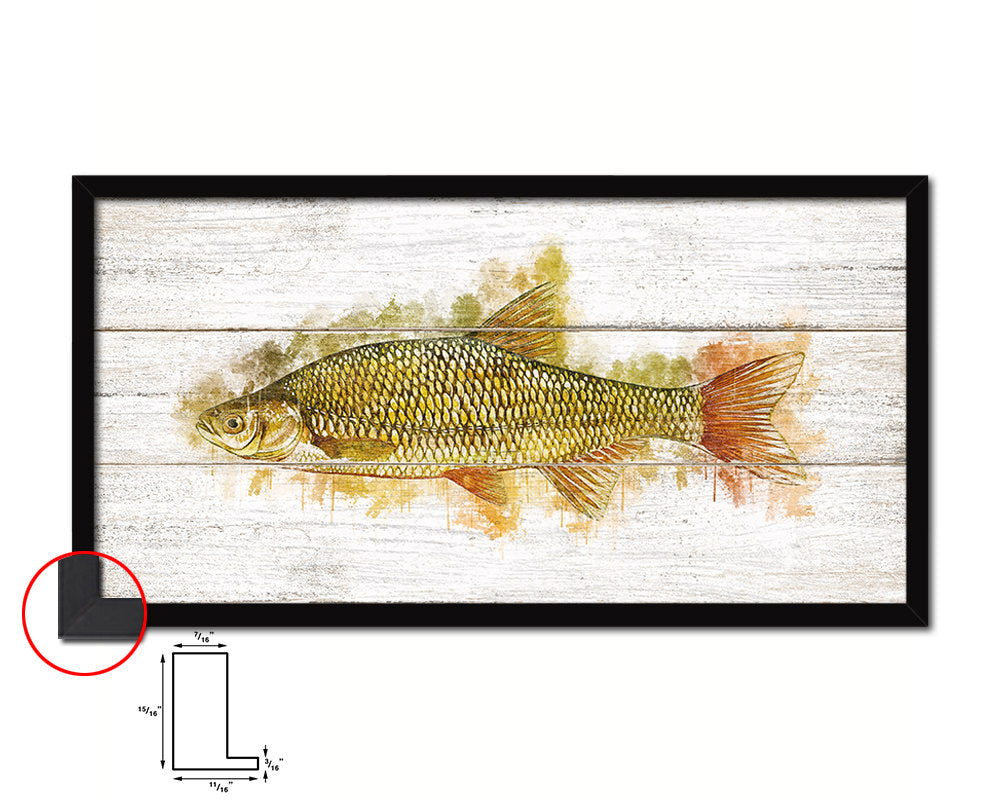Golden Shiner Fish Art Wood Framed White Wash Restaurant Sushi Wall Decor Gifts, 10" x 20"