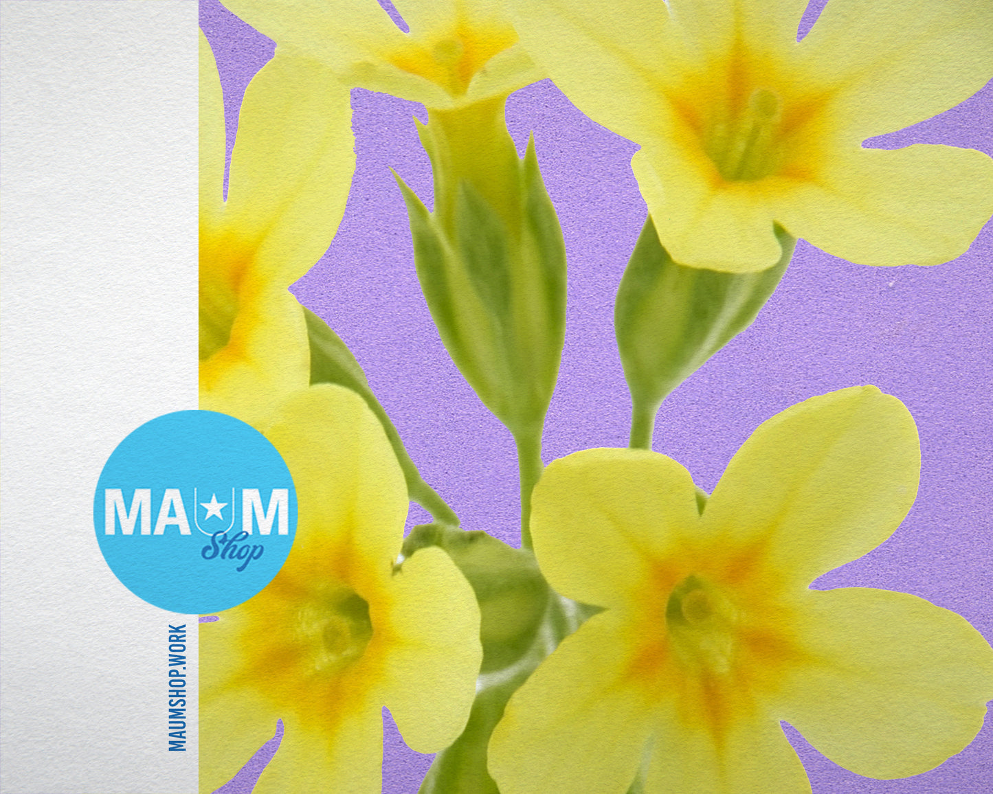 Paigle Primula Flowers Colorful Plants Art Wood Framed Print Wall Decor Gifts