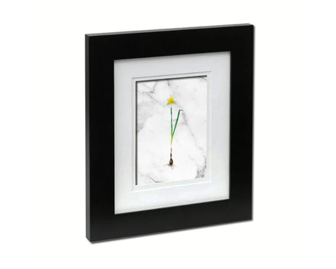 Narcissus Bulb Marble Texture Plants Art Wood Framed Print Wall Decor Gifts