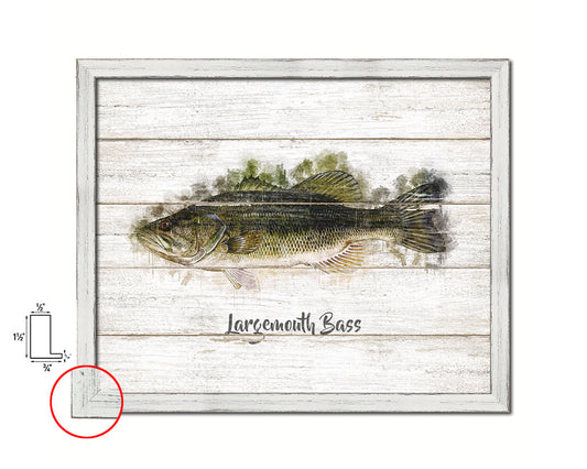 Largemouth Bass Fish Framed Prints Modern Restaurant Sushi Bar Watercolor Wall Art Decor