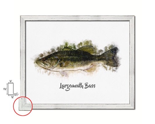 Largemouth Bass Fish Framed Prints Modern Restaurant Sushi Bar Watercolor Wall Art Decor