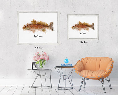 Red Drum Fish Framed Prints Modern Restaurant Sushi Bar Watercolor Wall Art Decor