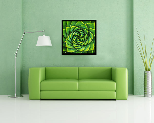 Aloe Succulent African Evergreen Leaves Spiral Plant Wood Framed Print Decor Wall Art Gifts