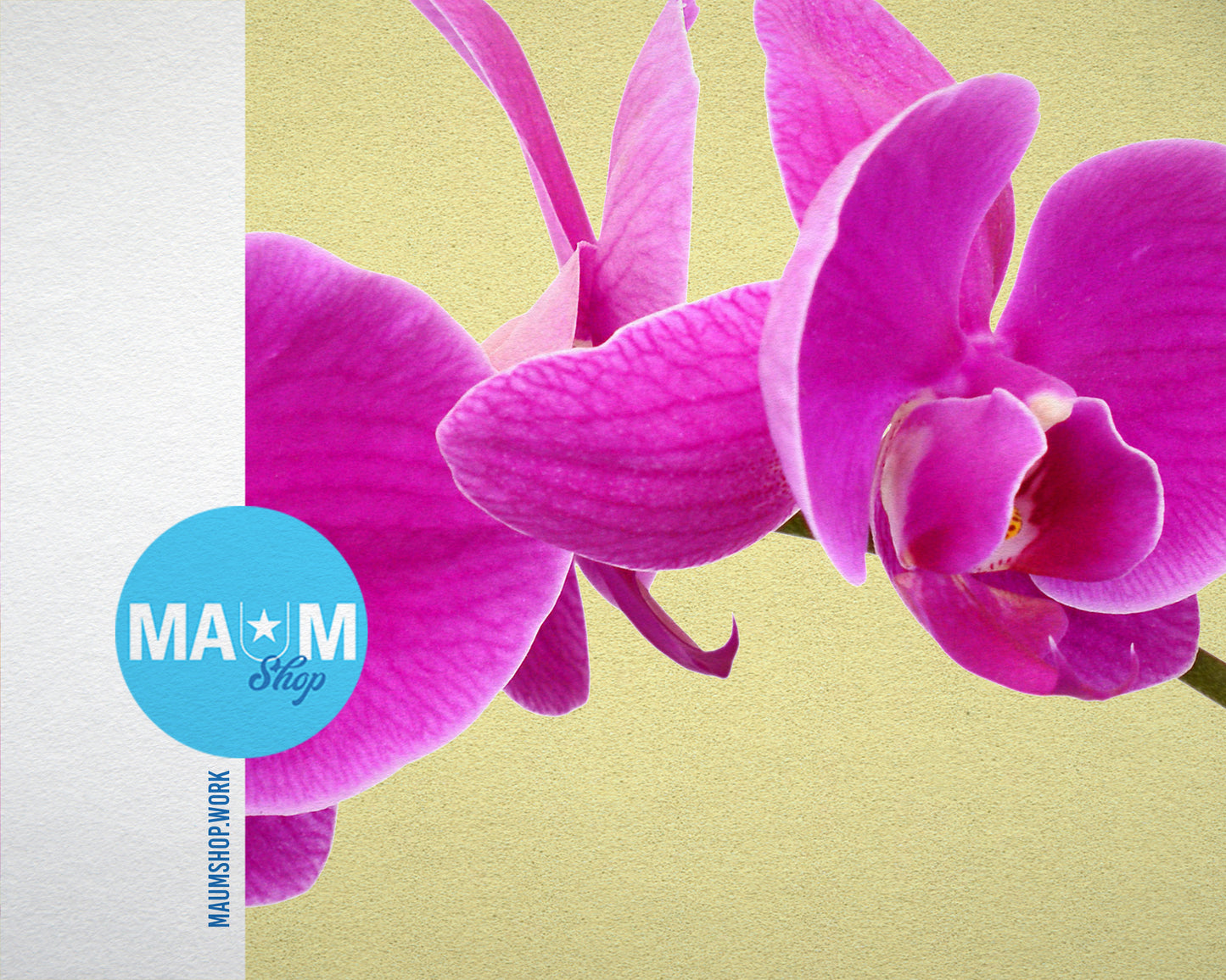 Violet Phalaenopsis Colorful Plants Art Wood Framed Print Wall Decor Gifts