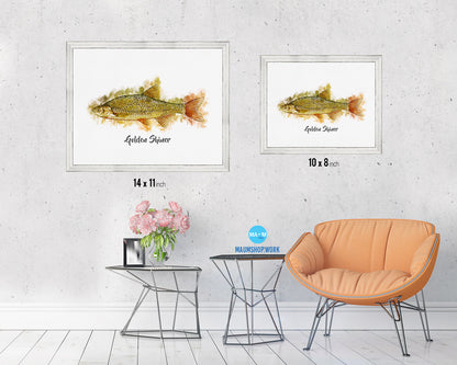 Golden Shiner Fish Framed Prints Modern Restaurant Sushi Bar Watercolor Wall Art Decor