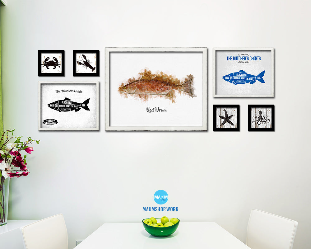 Red Drum Fish Framed Prints Modern Restaurant Sushi Bar Watercolor Wall Art Decor