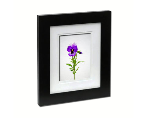 Pansy Sketch Plants Art Wood Framed Print Wall Decor Gifts