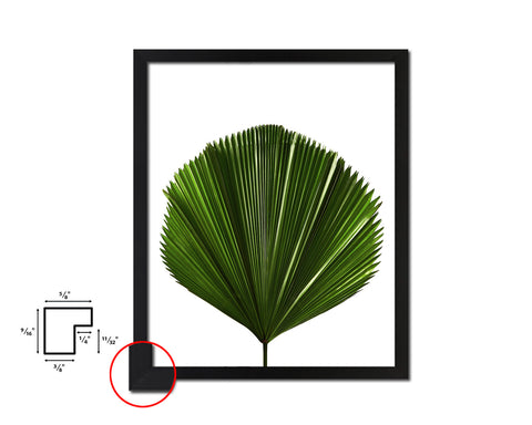 Licuala Grandis, Ruffled Fan Palm Tropical Leaf Framed Print Home Decor Wall Art Gifts