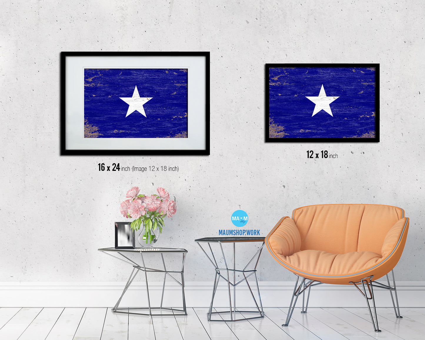 Bonnie Blue in Republic of West Florida Shabby Chic Military Flag Framed Print Art
