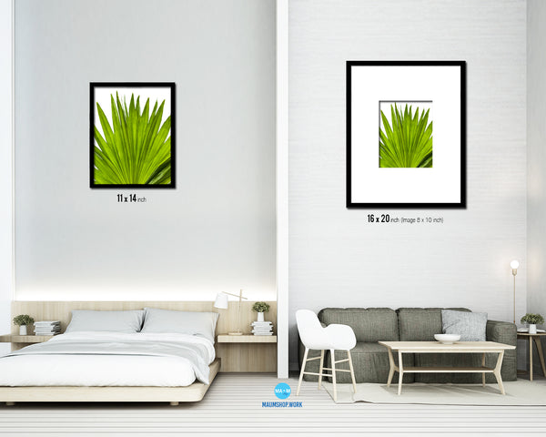 Green Palm Tropical Leaf Framed Print Sign Decor Wall Art Gifts