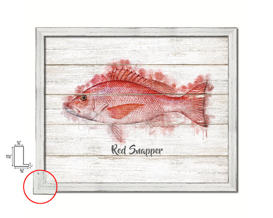 Red Snapper Fish Framed Prints Modern Restaurant Sushi Bar Watercolor Wall Art Decor