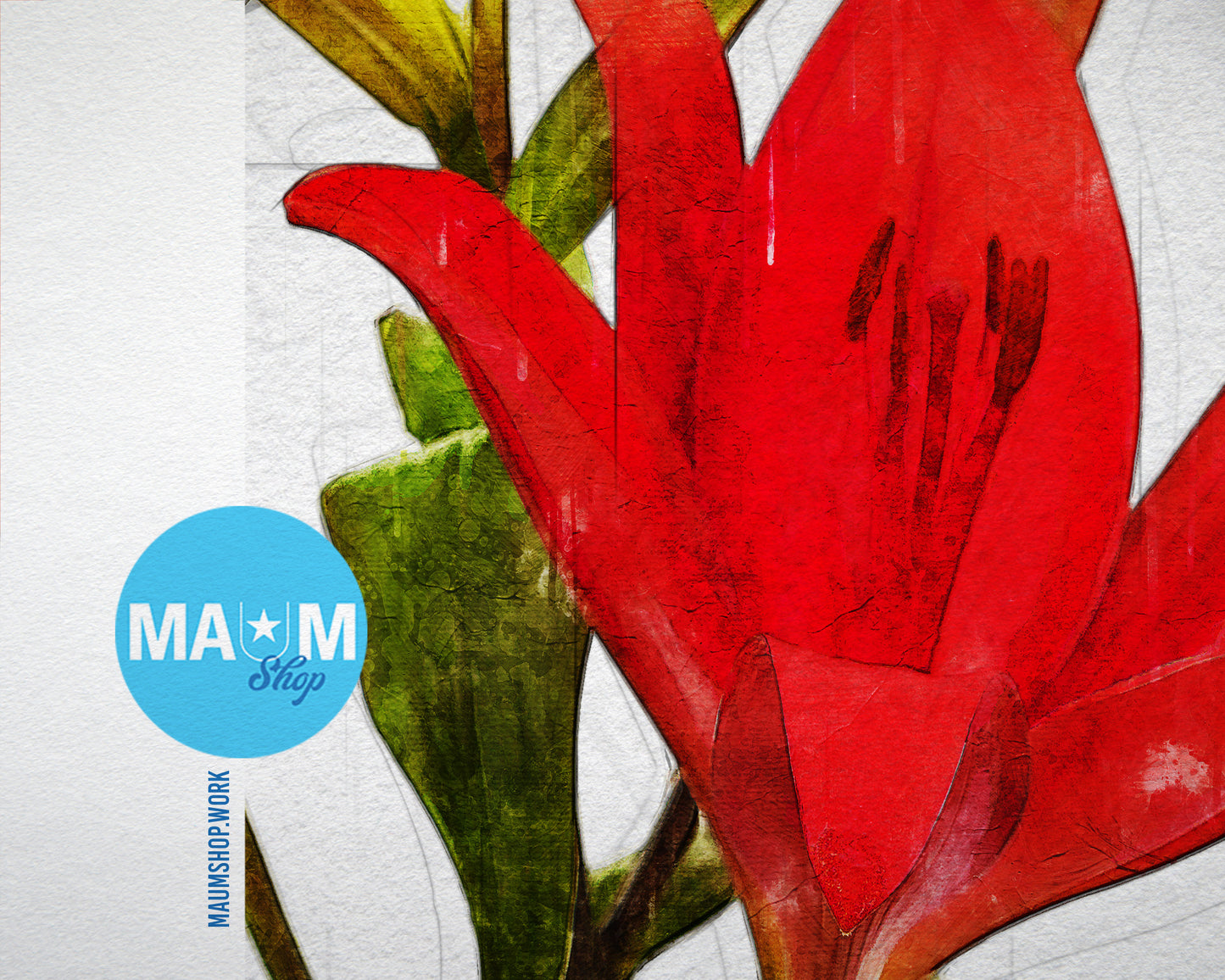 Red Lily Sketch Plants Art Wood Framed Print Wall Decor Gifts