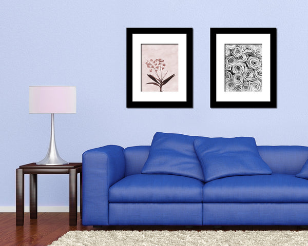 Dendrobium Orchid Sepia Plants Art Wood Framed Print Wall Decor Gifts