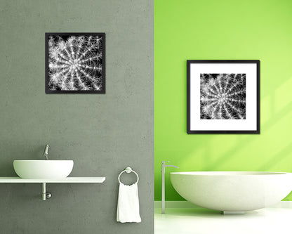 Barrel Cactus B &W Succulent Leaves Spiral Plant Wood Framed Print Decor Wall Art Gifts