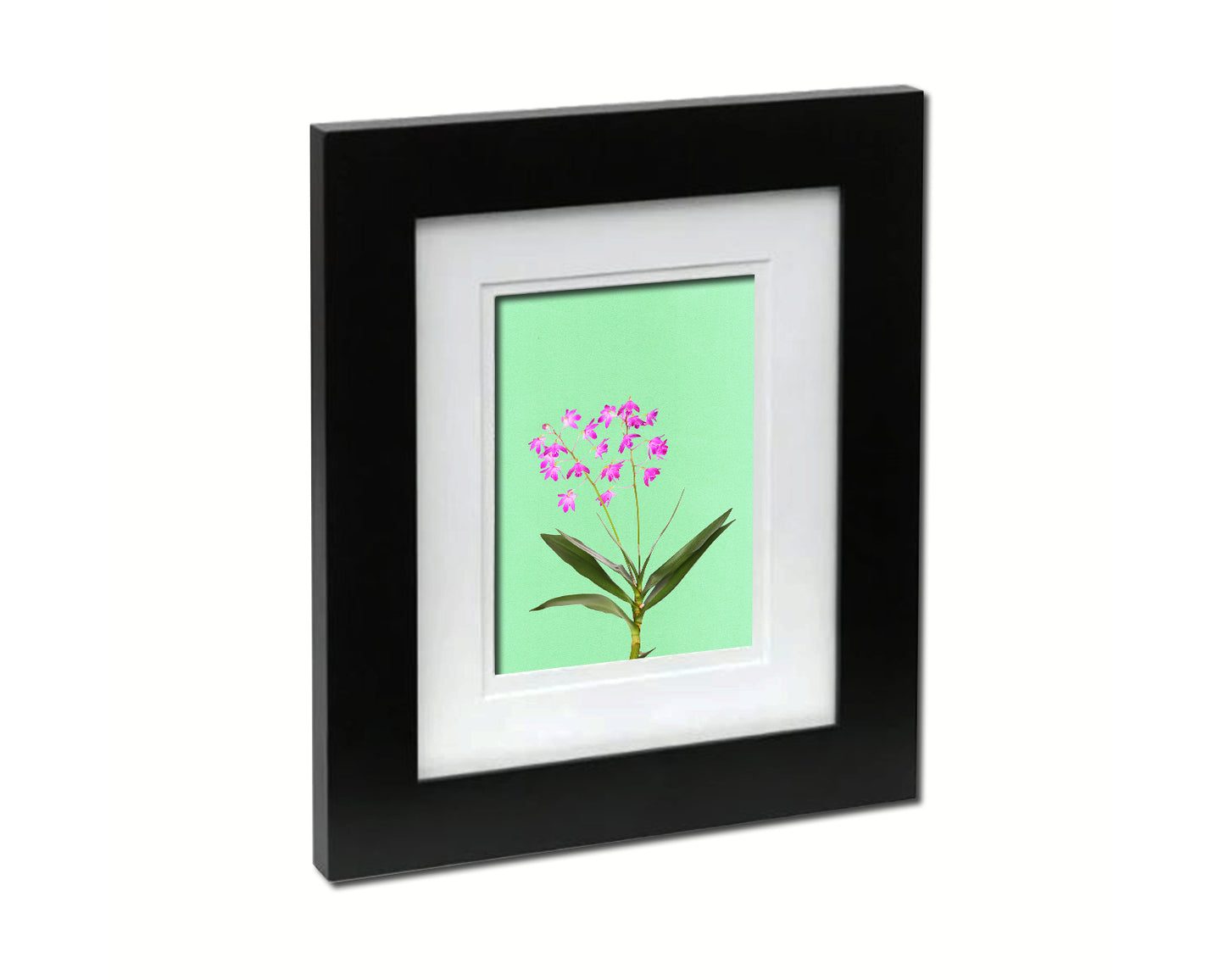 Dendrobium Orchid Colorful Plants Art Wood Framed Print Wall Decor Gifts