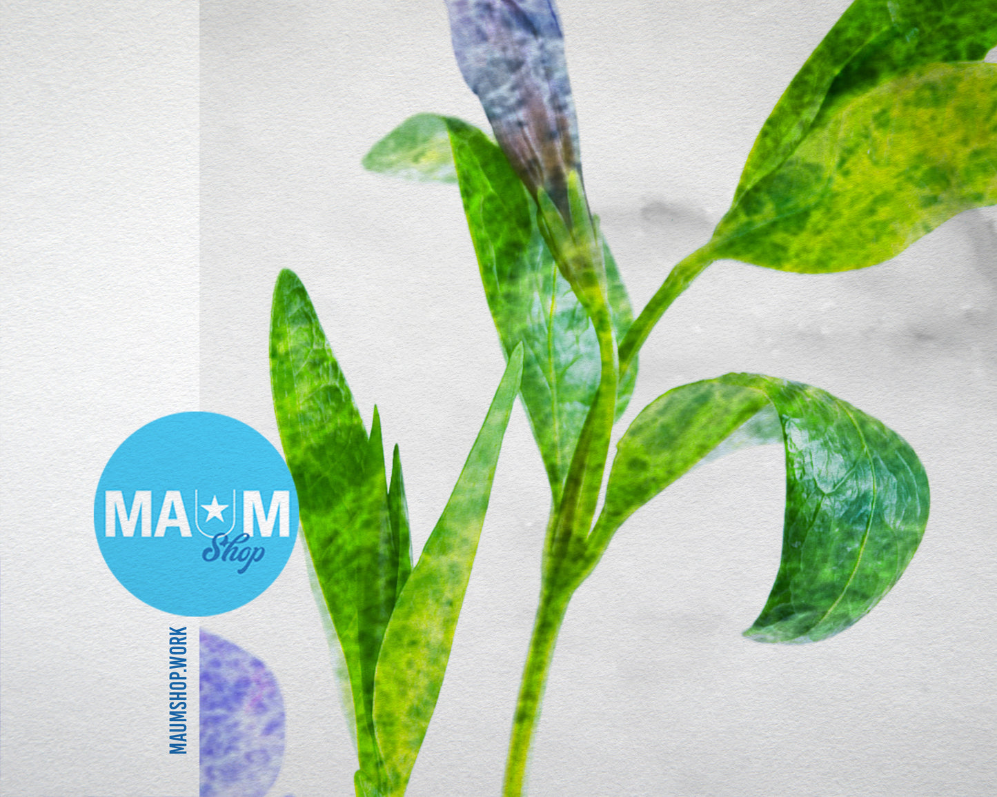 Blue Periwinkle Marble Texture Plants Art Wood Framed Print Wall Decor Gifts