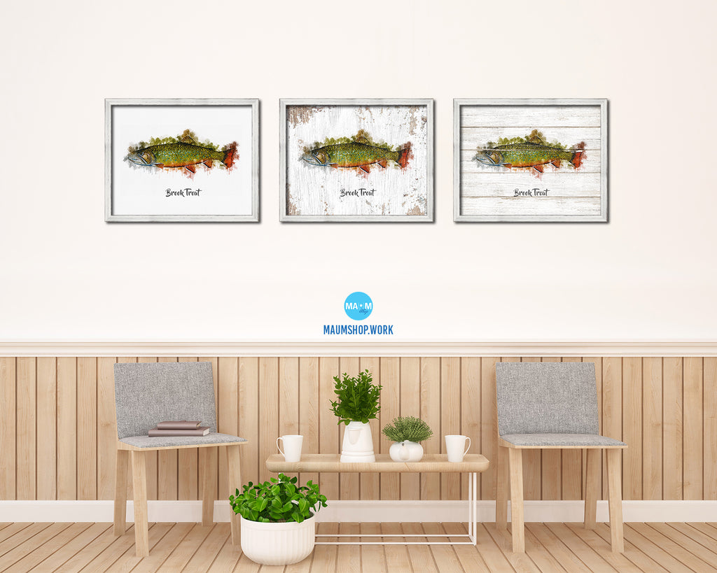 Brook Trout Fish Art White Wash Wood Frame Home Decor Wall Prints 