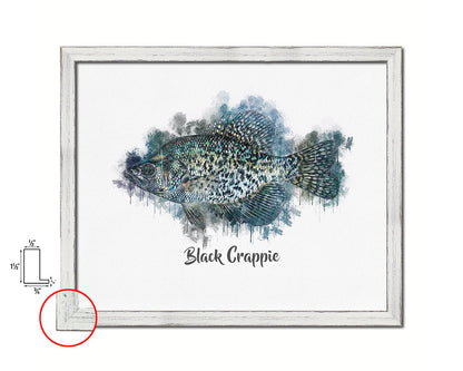 Black Crappie Fish Framed Prints Modern Restaurant Sushi Bar Watercolor Wall Art Decor