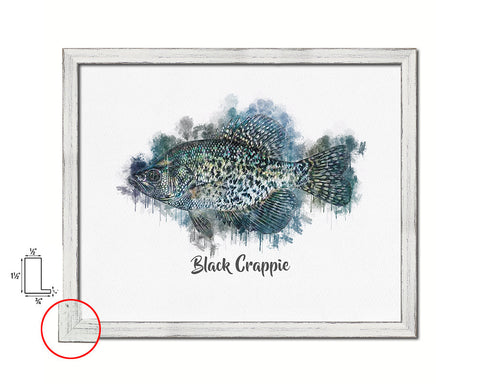 Black Crappie Fish Framed Prints Modern Restaurant Sushi Bar Watercolor Wall Art Decor
