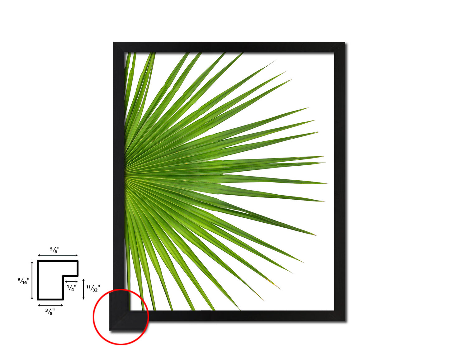 Palm Tropical Leaf Framed Print Sign Decor Wall Art Gifts