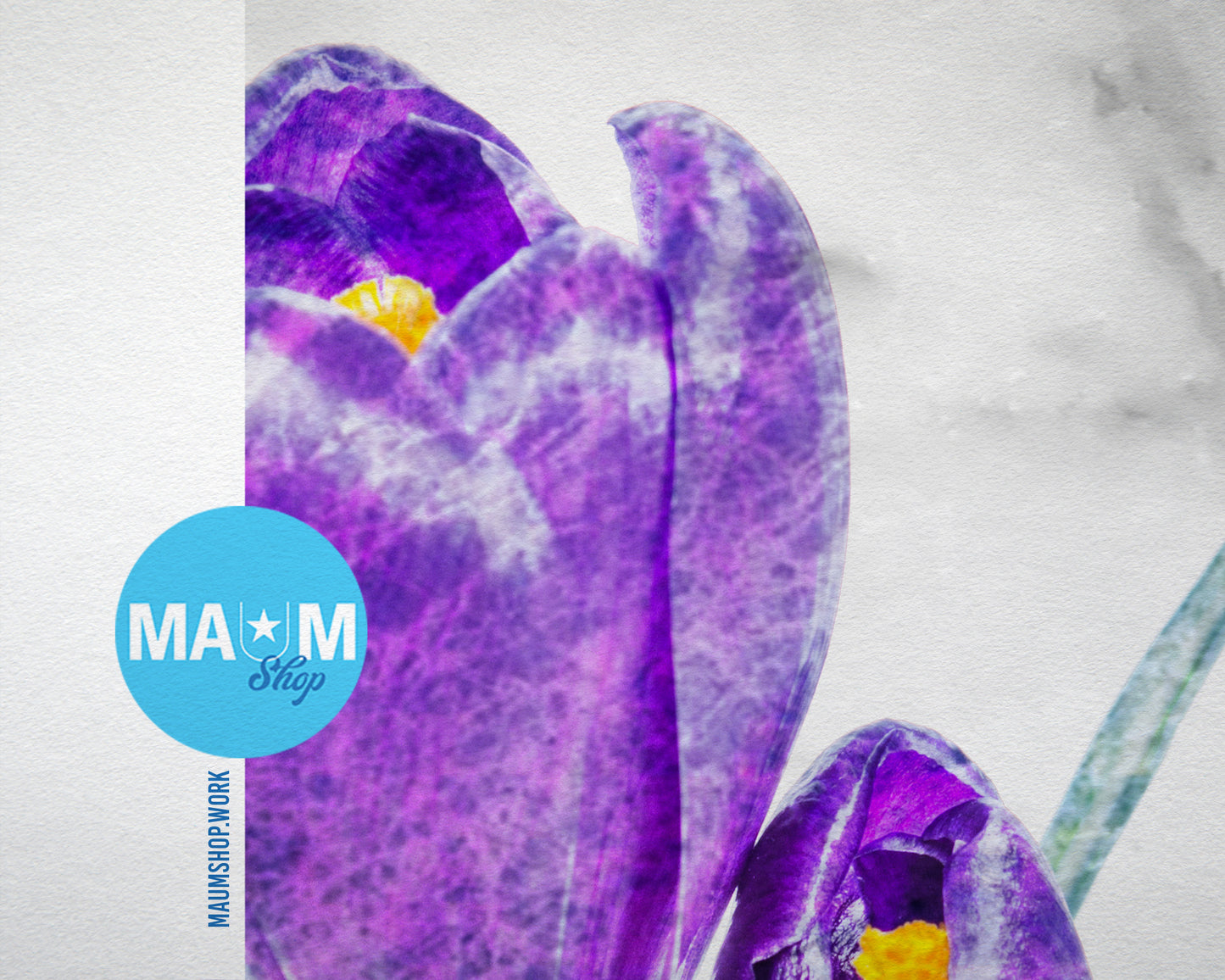 Purple Crocus Spring Marble Texture Plants Art Wood Framed Print Wall Decor Gifts