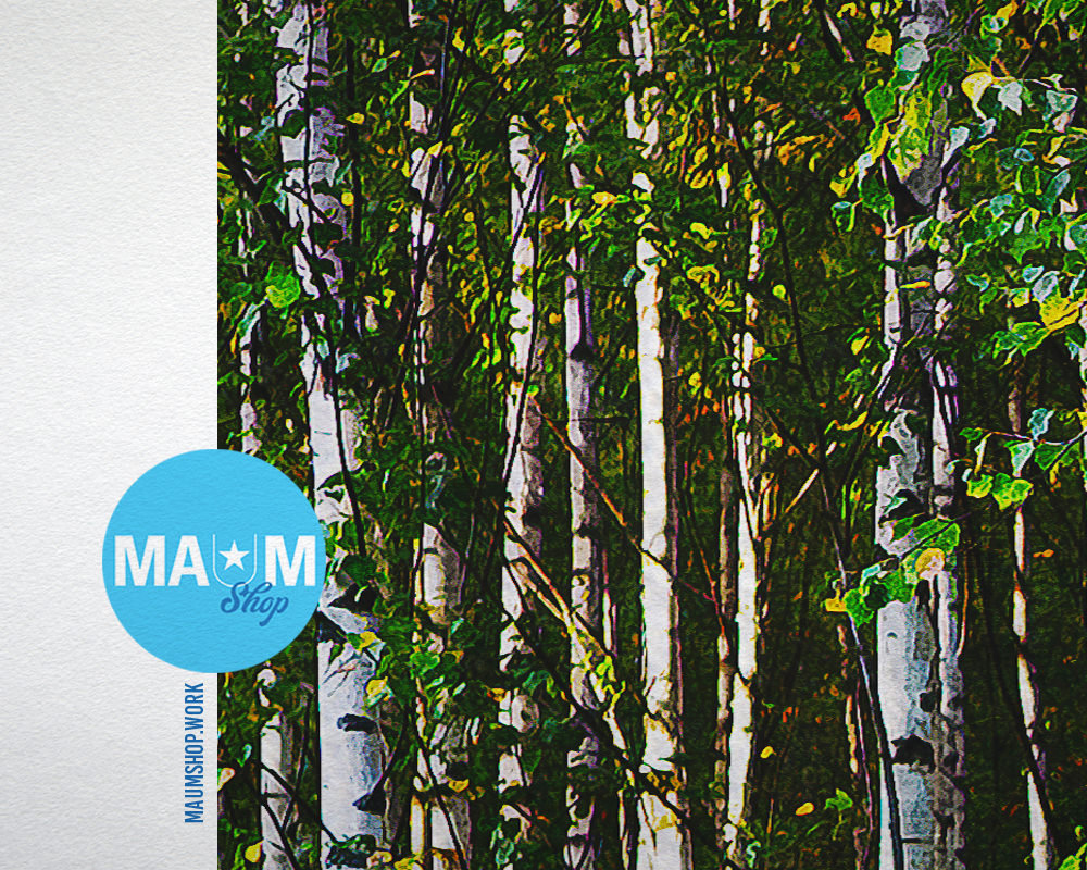 Birch Grove Trees Spring Landscape Painting Print Art Frame Home Wall Decor Gifts