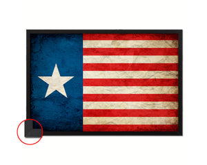 Texas Navy Texan Revolution 1838-1846 Naval Jack Vintage Military Flag Framed Print Art