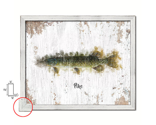 Pike Fish Framed Prints Modern Restaurant Sushi Bar Watercolor Wall Art Decor