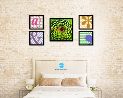Opening Thistle Evergreen Succulent Leaves Spiral Plant Wood Framed Print Decor Wall Art Gifts