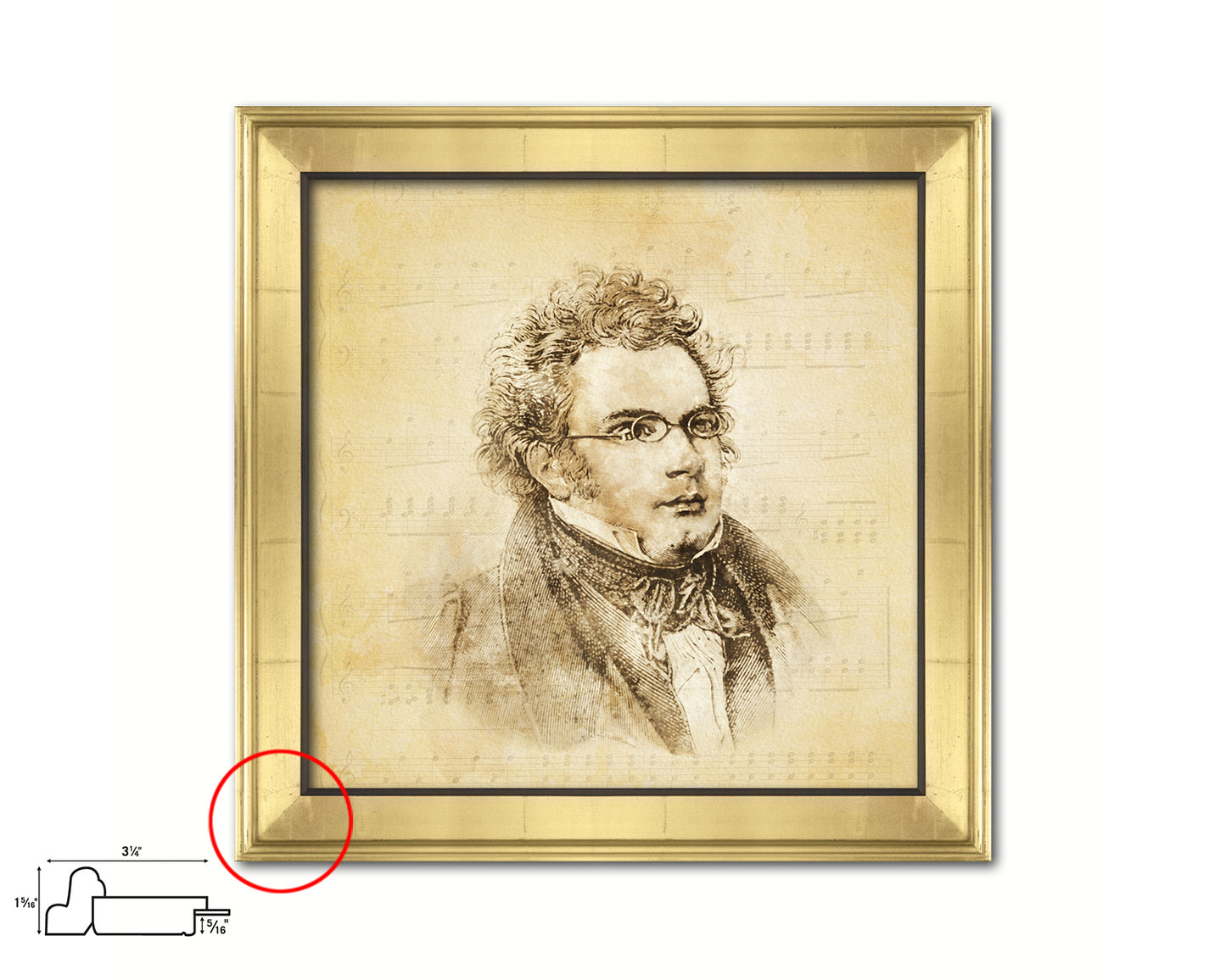 Franz Schubert Ancient Classical Musician Gold Framed Print Wall Decor Art Gifts