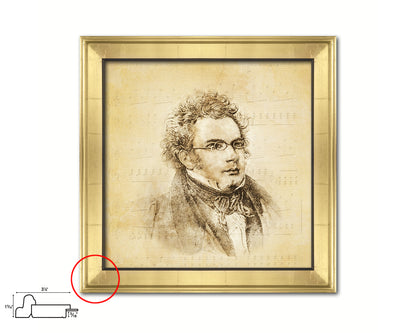 Franz Schubert Ancient Classical Musician Gold Framed Print Wall Decor Art Gifts