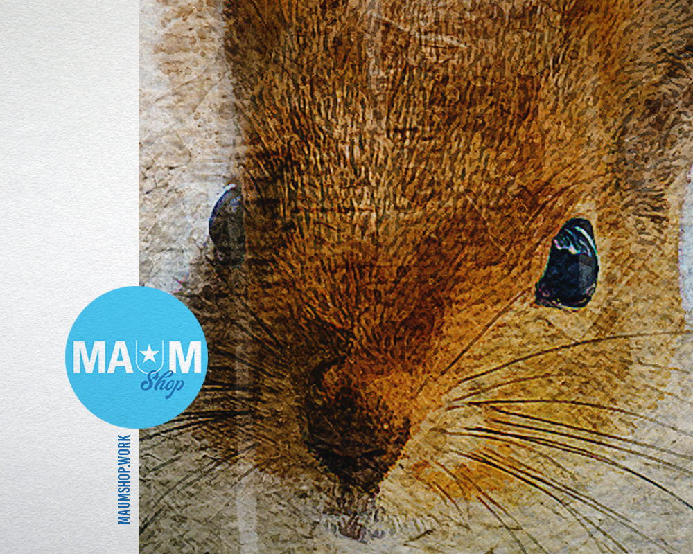 Red squirrel Animal Painting Print Framed Art Home Wall Decor Gifts