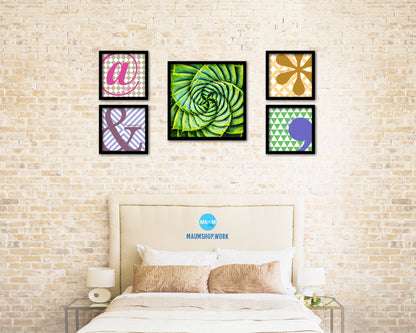 Aloe Succulent Evergreen Leaves Spiral Plant Wood Framed Print Decor Wall Art Gifts