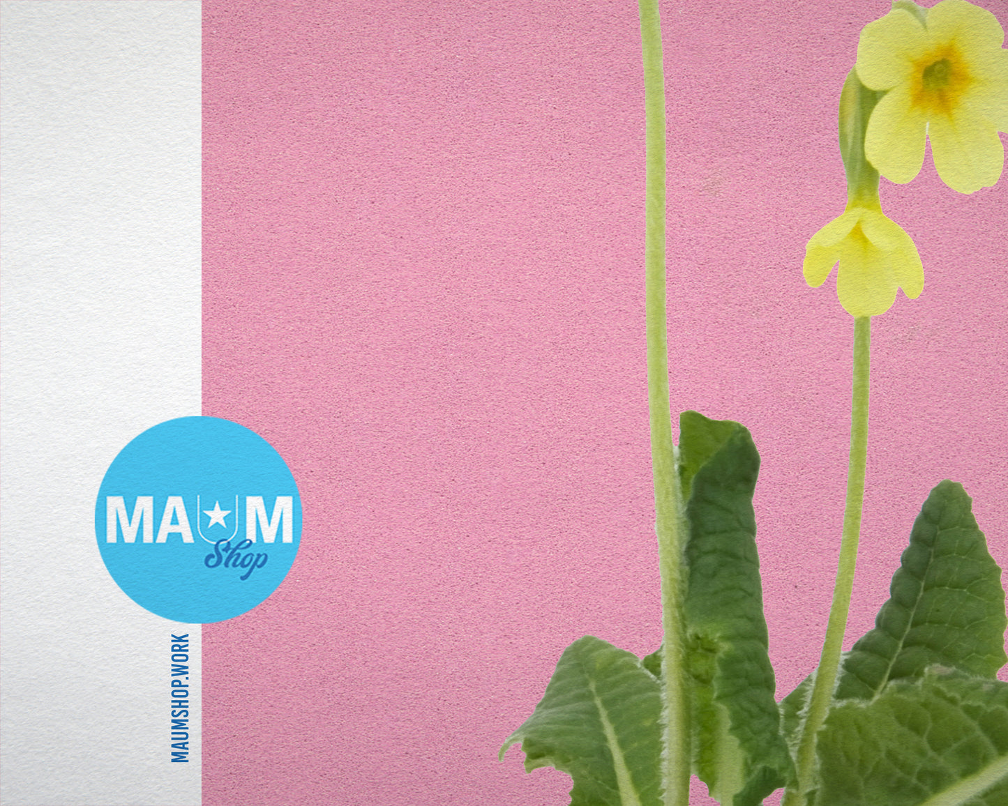 Paigle Primula Colorful Plants Art Wood Framed Print Wall Decor Gifts