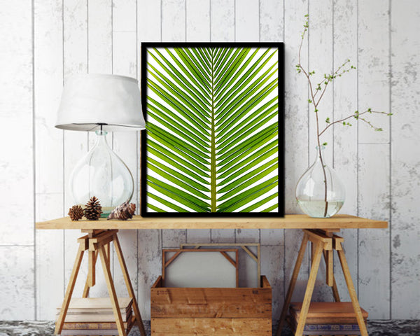 The Coconut Palm Leaves Tropical Leaf Botanical Framed Print Home Decor Wall Art Gifts