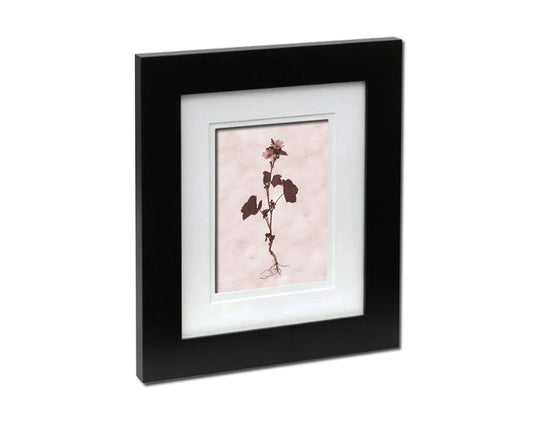 Malva Sylvestris Sepia Plants Art Wood Framed Print Wall Decor Gifts