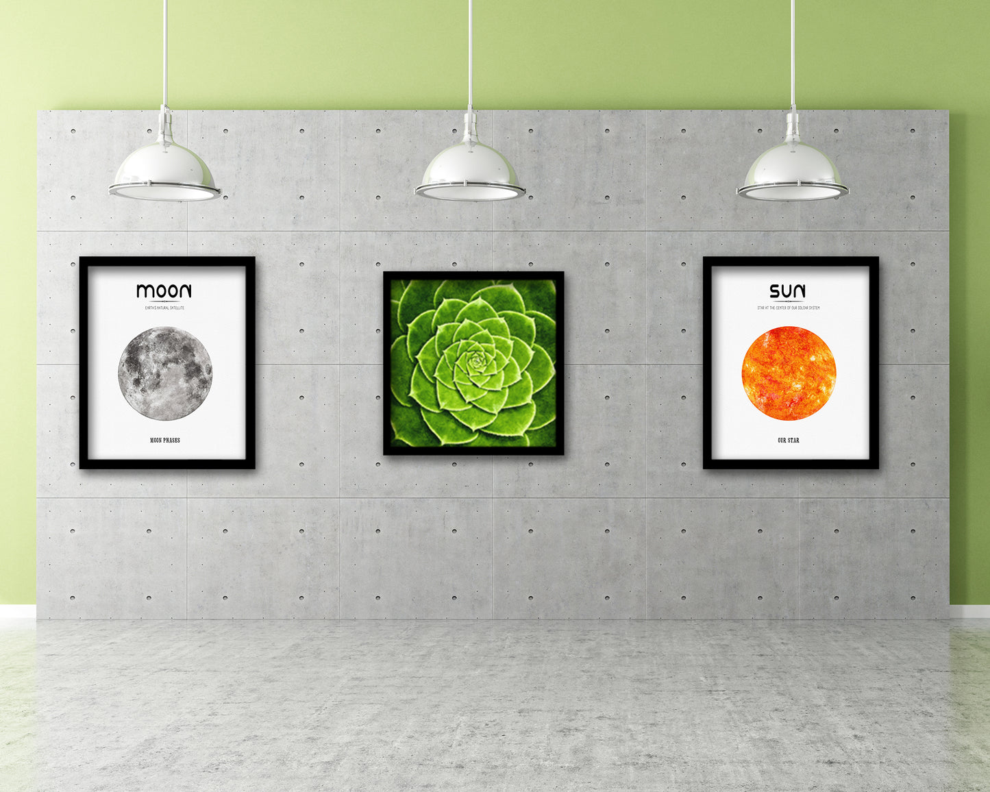 Cactus Plant Succulents Evergreen Leaves Spiral Plant Wood Framed Print Decor Wall Art Gifts