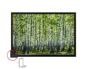 Birch Grove Trees Summer Landscape Painting Print Art Frame Home Wall Decor Gifts