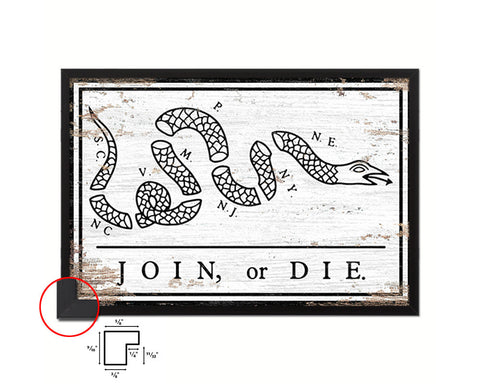 US Join or Die Snake Colonial Revolutionary War Shabby Chic Military Flag Framed Print Art