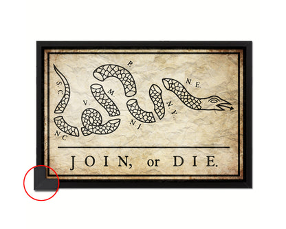 US Join or Die Snake Colonial Revolutionary War Vintage Military Flag Framed Print Art