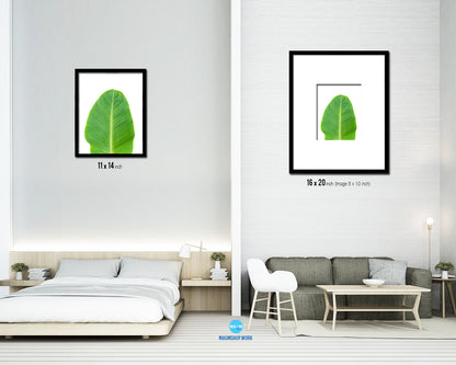 Banana Tropical Leaf Framed Print Sign Decor Wall Art Gifts