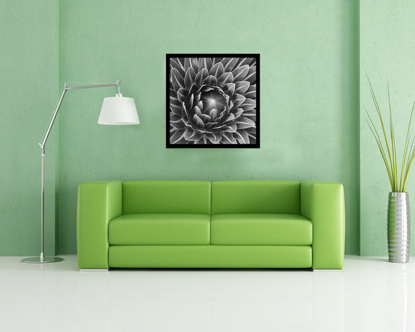 The Cactus Bud of Plant B &W Succulent Leaves Spiral Plant Wood Framed Print Decor Wall Art Gifts
