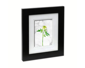 White Mustard Marble Texture Plants Art Wood Framed Print Wall Decor Gifts