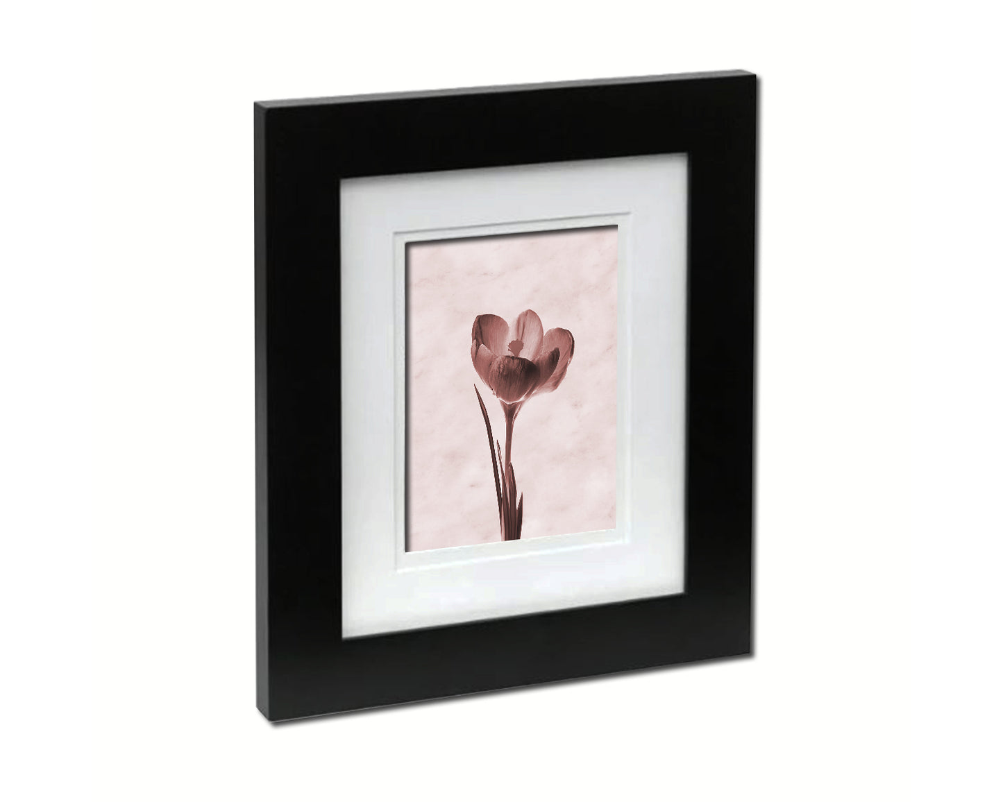 Crocus Sepia Plants Art Wood Framed Print Wall Decor Gifts
