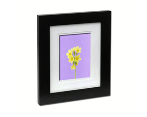 Paigle Primula Flowers Colorful Plants Art Wood Framed Print Wall Decor Gifts