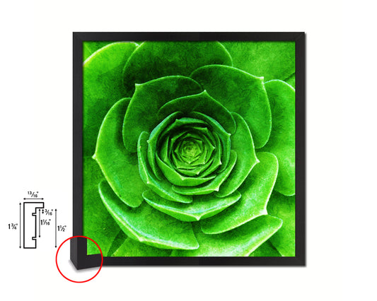 Green Succulent Plants Evergreen Leaves Spiral Plant Wood Framed Print Decor Wall Art Gifts